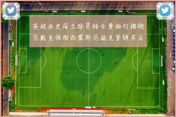 英超历史荷兰球员转会费排行揭晓范戴克领衔西蒙斯范赫克紧随其后