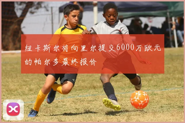 纽卡斯尔将向里尔提交6000万欧元的帕尔多最终报价